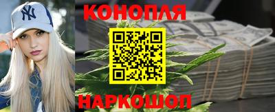 амф Анапа