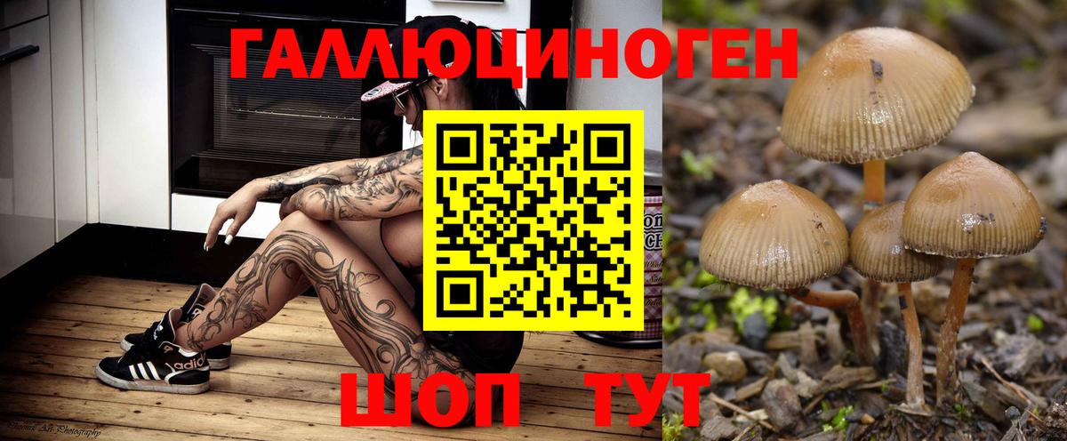 МЕФ   A PVP СК кристаллы  МАРИХУАНА  КОКАИН  ТГК  Экстази  Артёмовский  Вход с VPN  ГАШИШ 