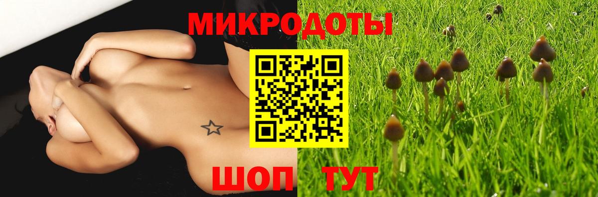 Псилоцибиновые грибы мухоморы Артёмовский