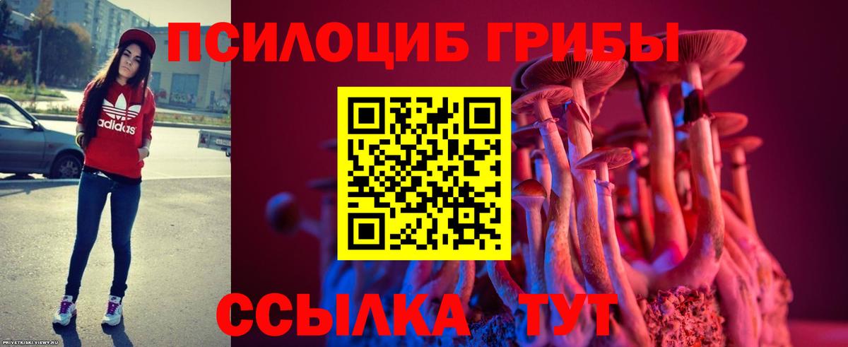 Артёмовский  Галлюциногенные грибы Psilocybine cubensis  Вход с VPN  Псилоцибиновые грибы Psilocybe 